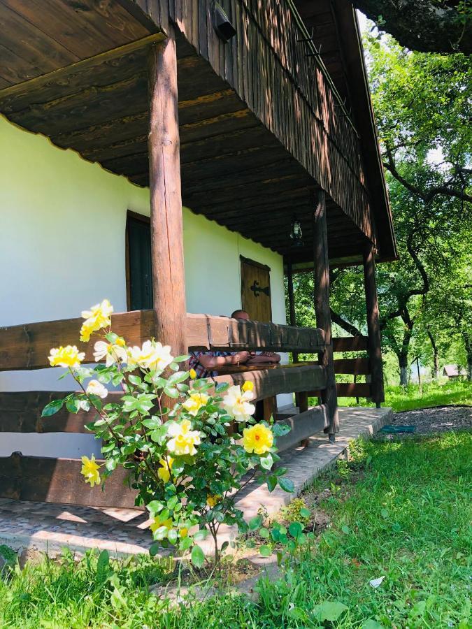Еко Дім З Соломи Villa โซโลไชน์ ภายนอก รูปภาพ