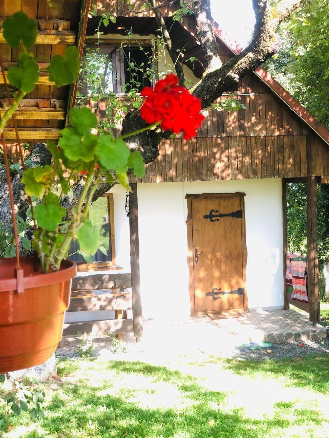 Еко Дім З Соломи Villa โซโลไชน์ ภายนอก รูปภาพ