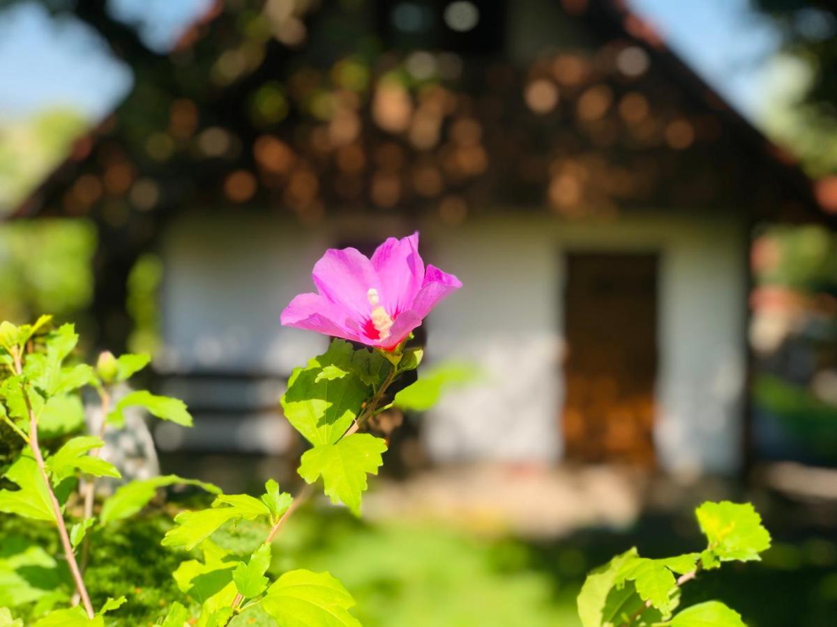 Еко Дім З Соломи Villa โซโลไชน์ ภายนอก รูปภาพ