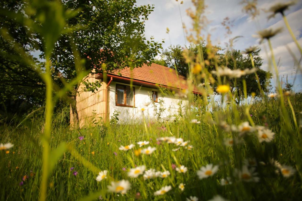 Еко Дім З Соломи Villa โซโลไชน์ ภายนอก รูปภาพ