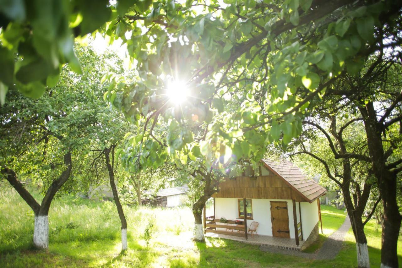 Еко Дім З Соломи Villa โซโลไชน์ ภายนอก รูปภาพ