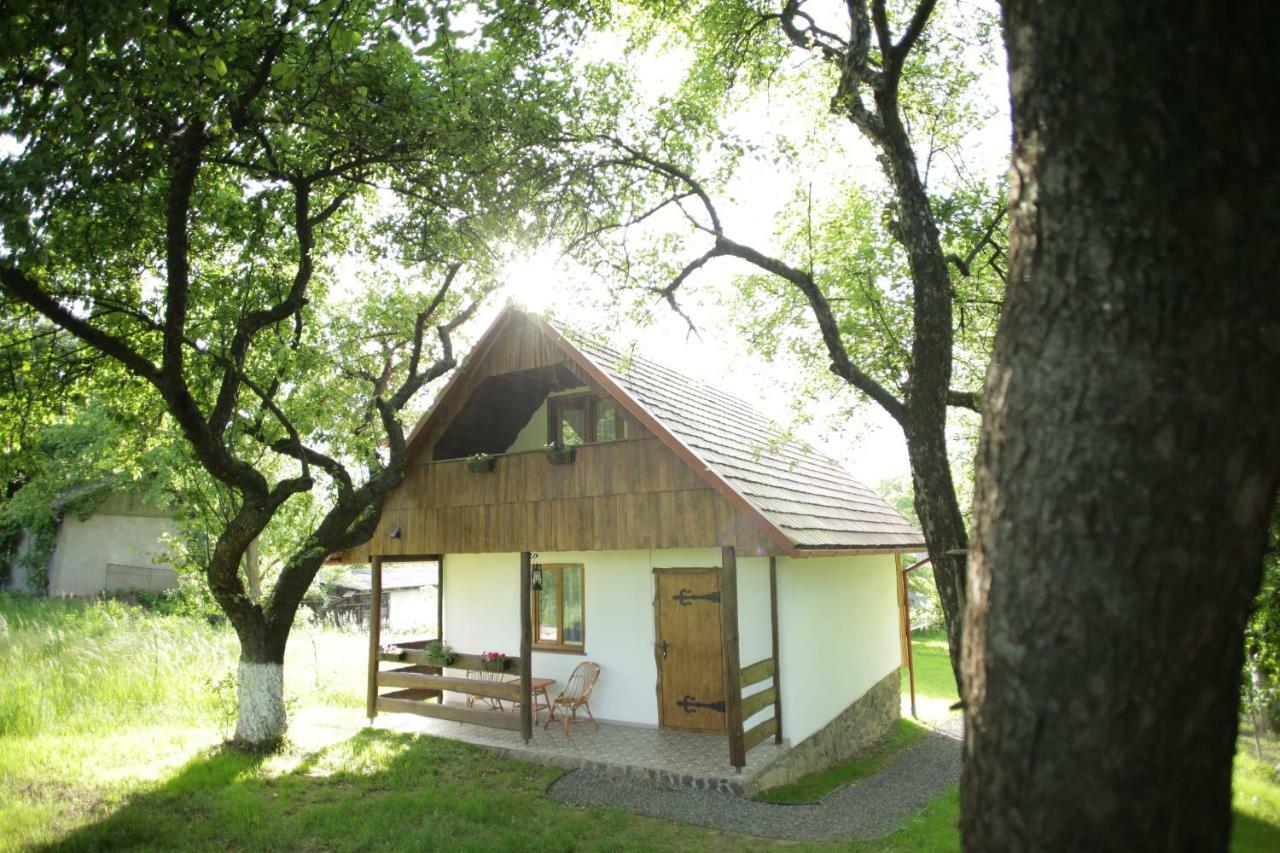 Еко Дім З Соломи Villa โซโลไชน์ ภายนอก รูปภาพ